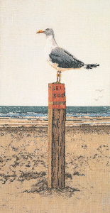 1062 Seagull Чайка